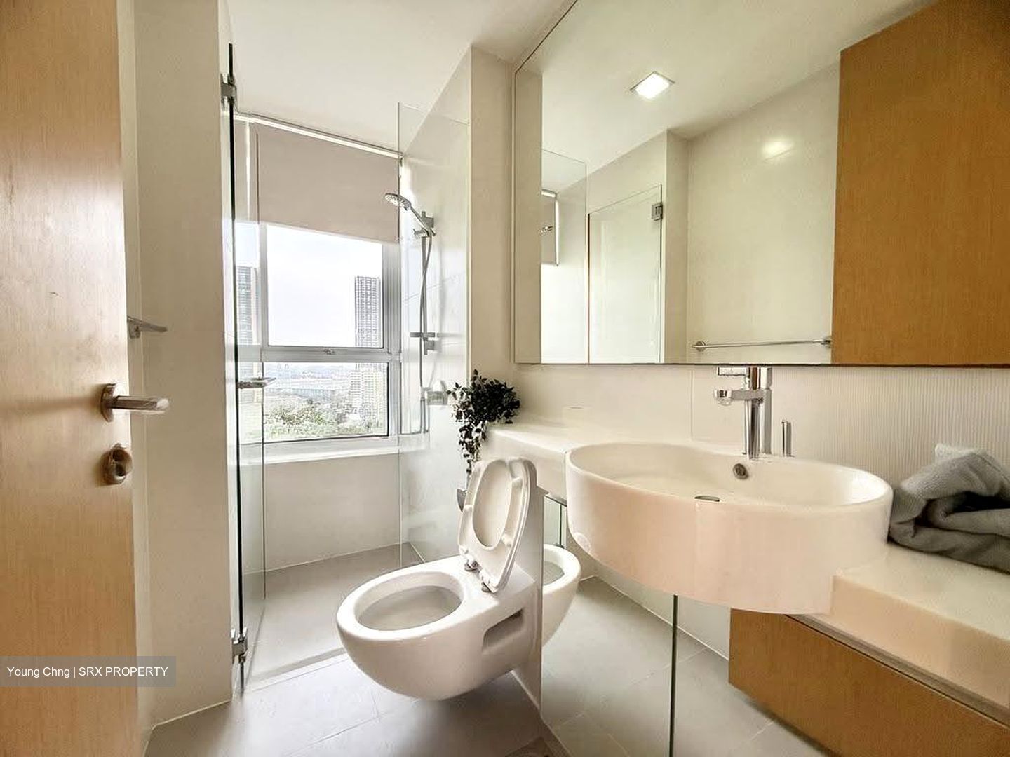 The Regency At Tiong Bahru (D3), Condominium #625457451